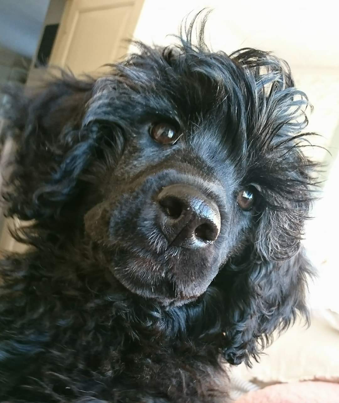 full moon lighted body of water